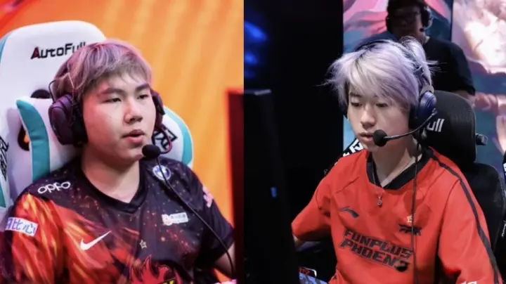 同组, entit, https